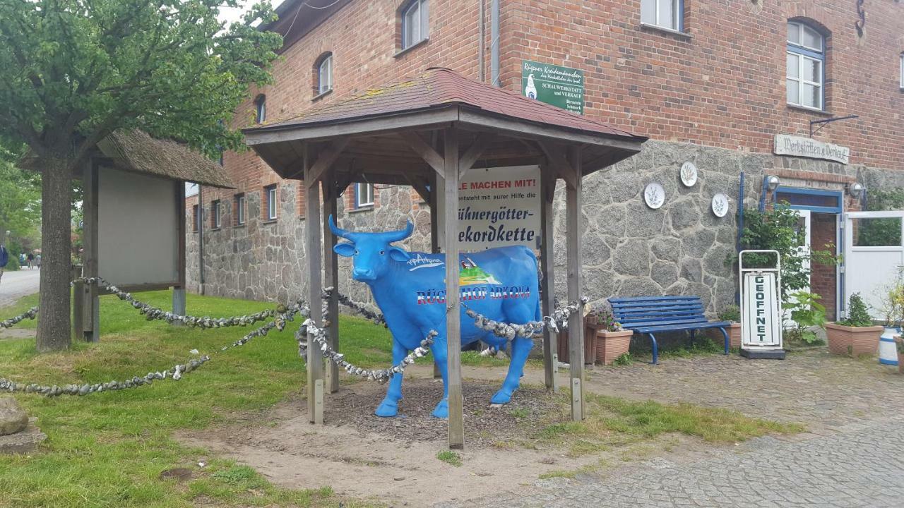 Ferienwohnung Finja In Putgarten, Kap Arkona Ruegen Extérieur photo