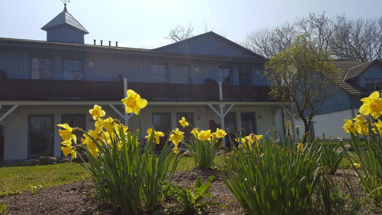 Ferienwohnung Finja In Putgarten, Kap Arkona Ruegen Extérieur photo