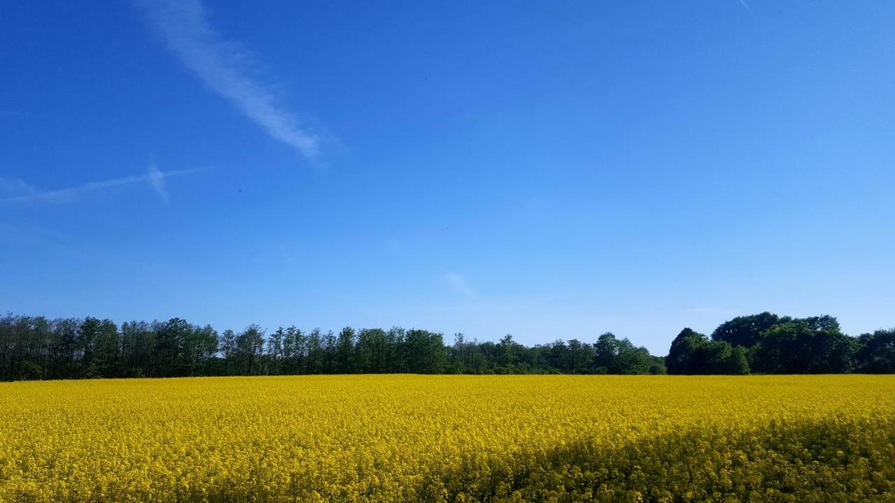 Ferienwohnung Finja In Putgarten, Kap Arkona Ruegen Extérieur photo